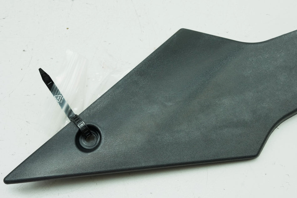 TRIUMPH SPEED TRIPLE 955 i 595 N Seitendeckel links Abdeckung Cover Blende