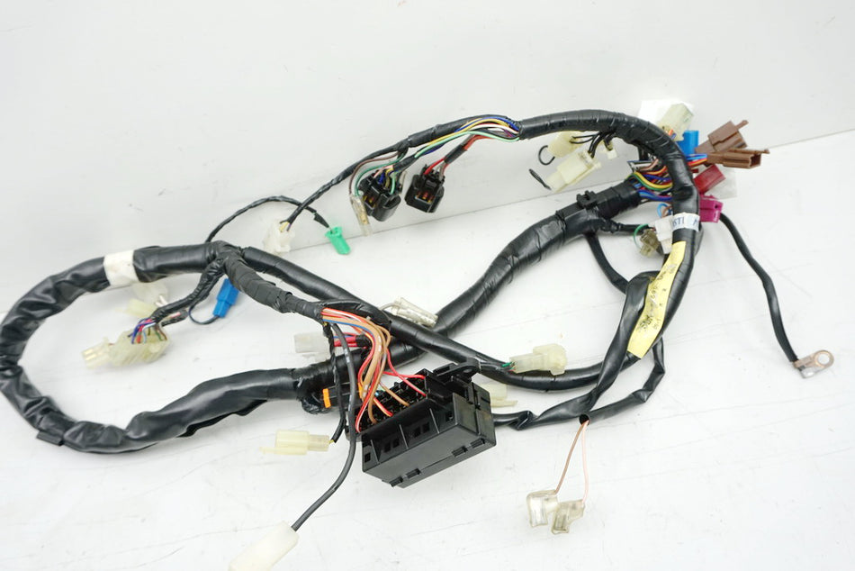 YAMAHA FZS 600 RJ02 FAZER Mazo de cables principal 5DM-82590-00