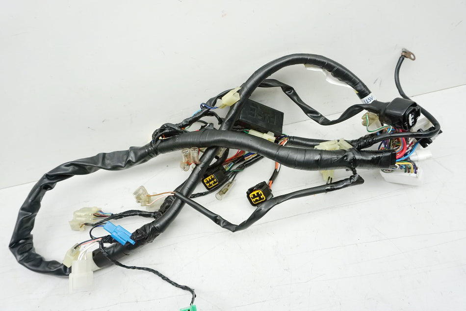YAMAHA FZS 600 RJ02 FAZER Mazo de cables principal 5DM-82590-00