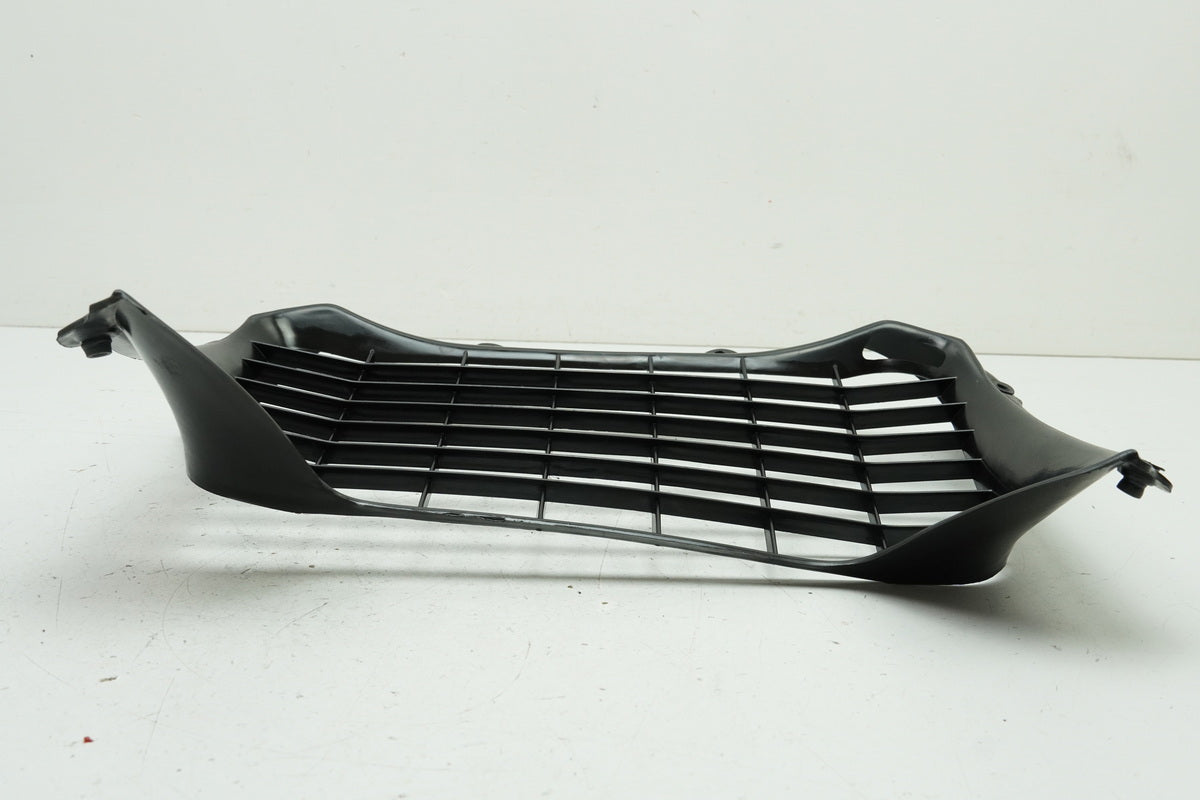 Aprilia Pegaso 650 GA (MX) Radiator Grille Cover Trim Panel