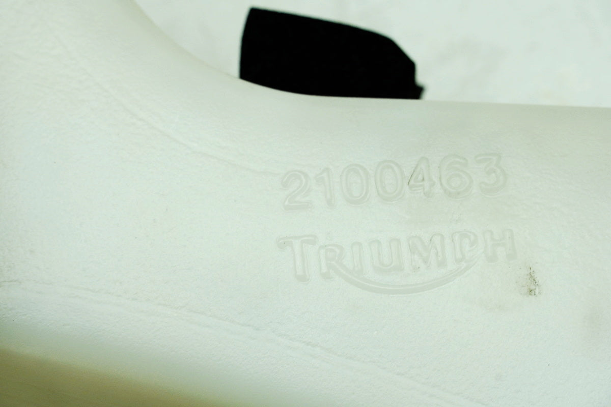 TRIUMPH SPEED TRIPLE 955 i 595 N Depósito de refrigerante Vaso de expansión Radiador