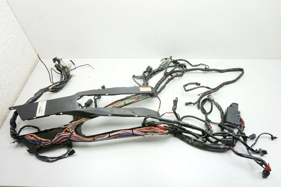HARLEY DAVIDSON FLHR FL1 1584 Road King Arnés de cables Arnés principal de cables