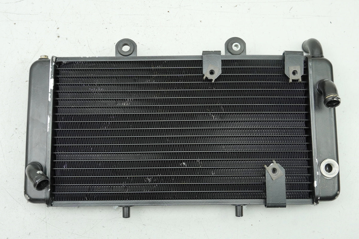 Aprilia Pegaso 650 GA (MX) Wasserkühler Kühler Water Cooler für Motor Kühlsystem
