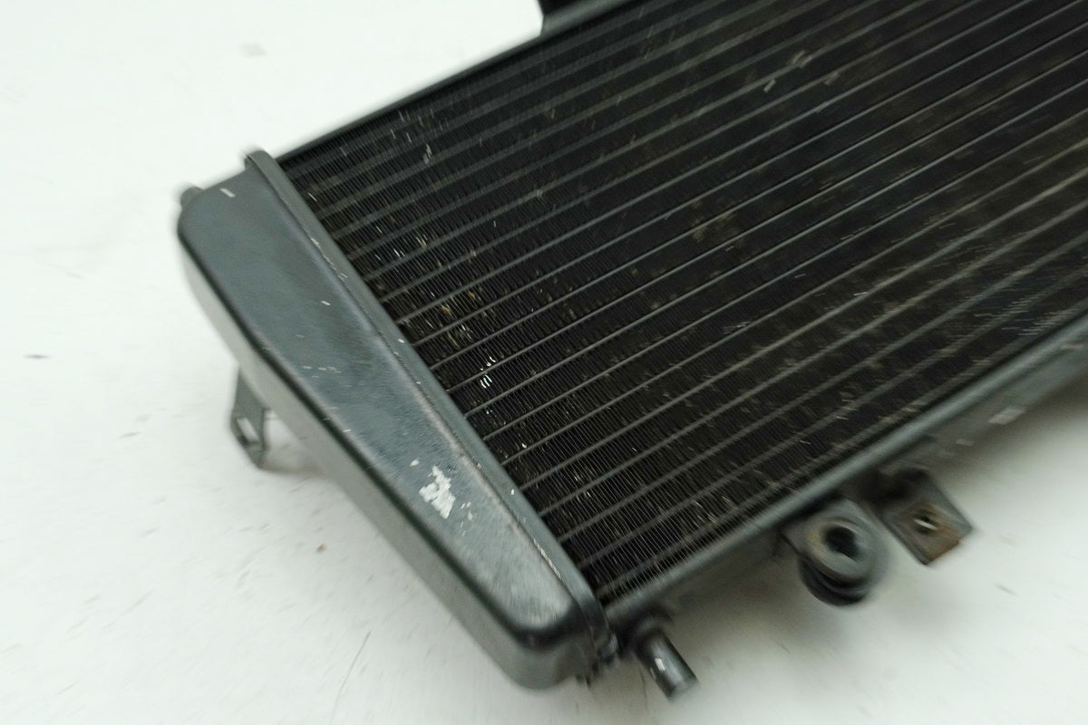 TRIUMPH SPEED TRIPLE 955 i 595 N Kühler original Wasserkühler Water Cooler