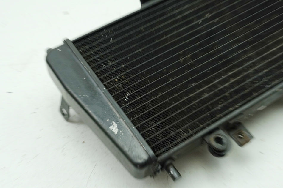 TRIUMPH SPEED TRIPLE 955 i 595 N Kühler original Wasserkühler Water Cooler