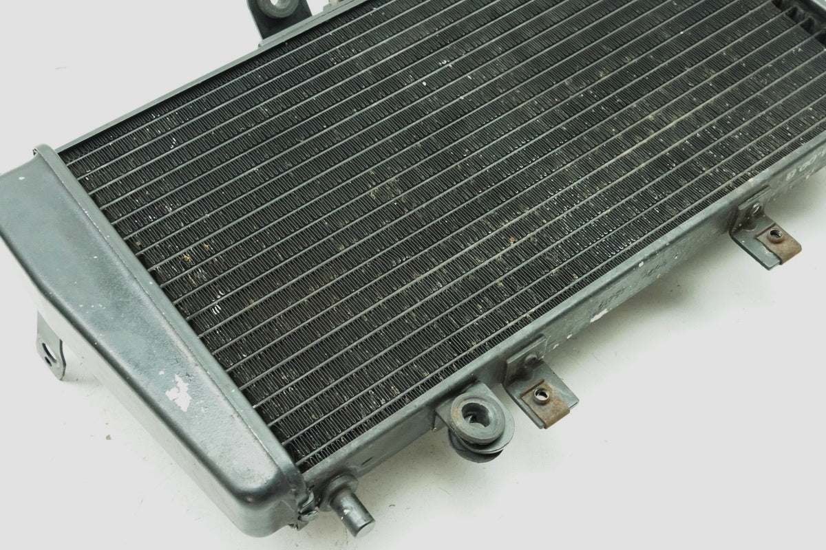 TRIUMPH SPEED TRIPLE 955 i 595 N Kühler original Wasserkühler Water Cooler