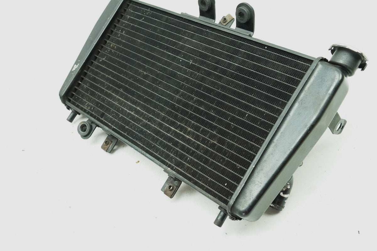 TRIUMPH SPEED TRIPLE 955 i 595 N Kühler original Wasserkühler Water Cooler