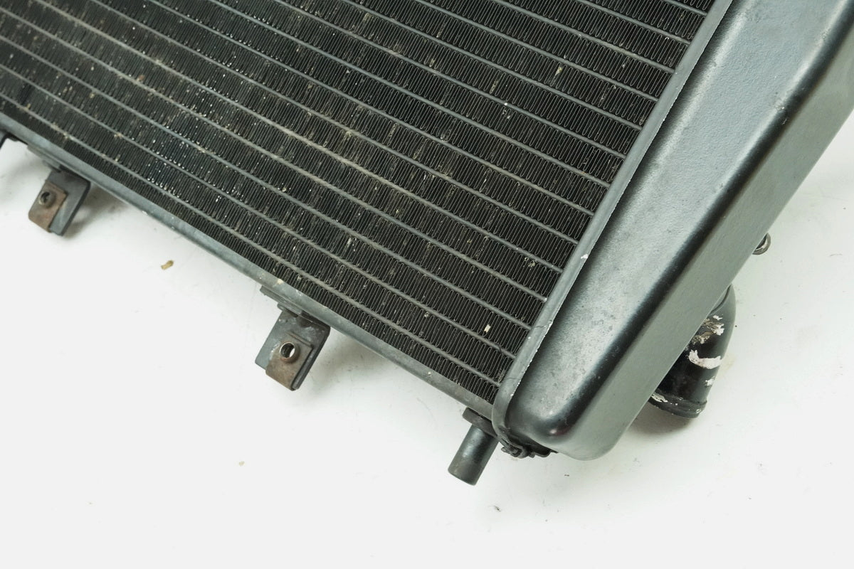 TRIUMPH SPEED TRIPLE 955 i 595 N Kühler original Wasserkühler Water Cooler