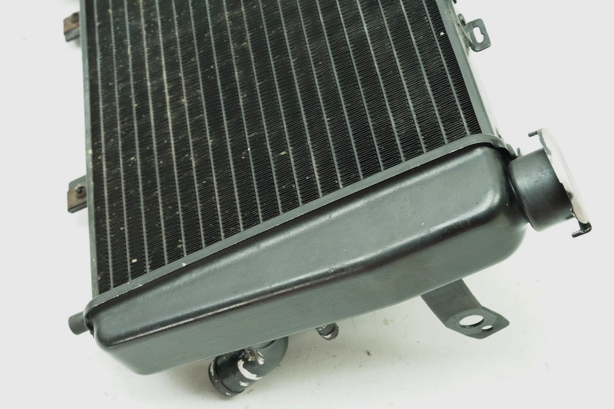 TRIUMPH SPEED TRIPLE 955 i 595 N Kühler original Wasserkühler Water Cooler