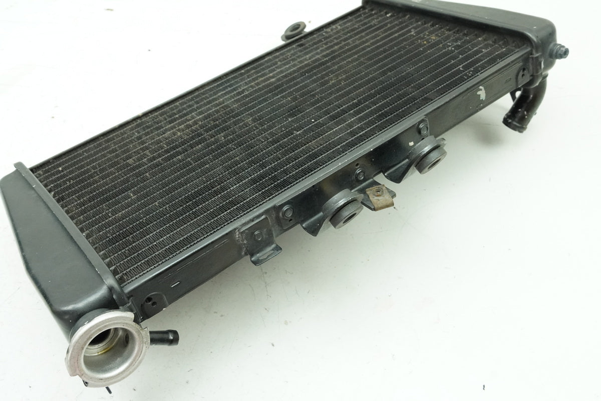 TRIUMPH SPEED TRIPLE 955 i 595 N Kühler original Wasserkühler Water Cooler