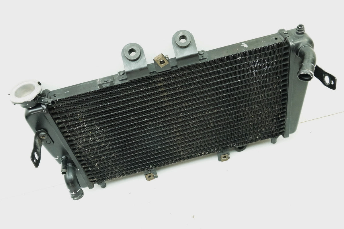 TRIUMPH SPEED TRIPLE 955 i 595 N Kühler original Wasserkühler Water Cooler