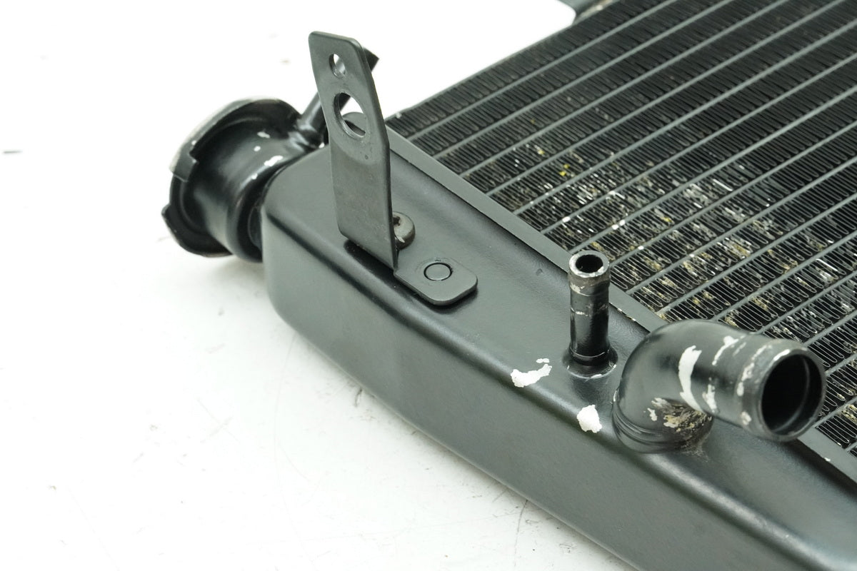 TRIUMPH SPEED TRIPLE 955 i 595 N Kühler original Wasserkühler Water Cooler
