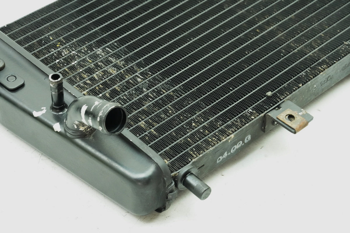 TRIUMPH SPEED TRIPLE 955 i 595 N Kühler original Wasserkühler Water Cooler