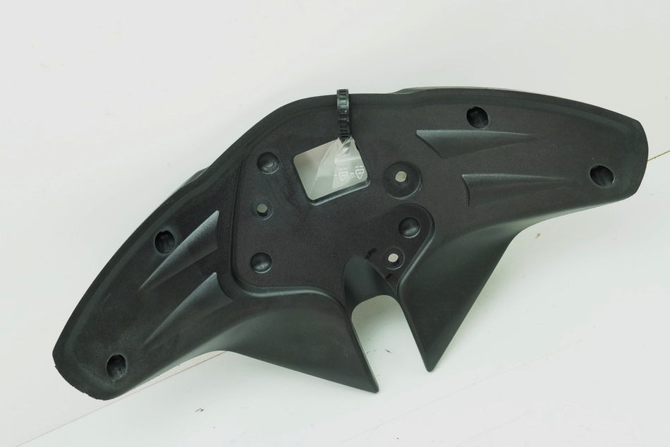 TRIUMPH SPEED TRIPLE 955 i 595 N Verkleidung Tacho Cockpit Abdeckung Cover