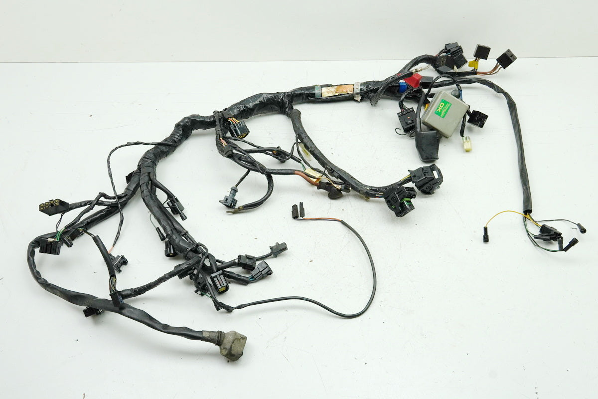 TRIUMPH SPEED TRIPLE 955 i 595 N Cableado Cableado principal Cableado T2500407