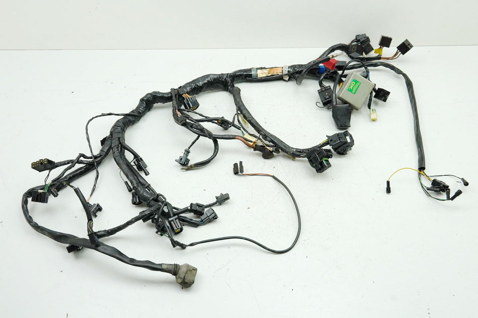 TRIUMPH SPEED TRIPLE 955 i 595 N Kabelbaum Hauptkabelbaum Wire Harness T2500407