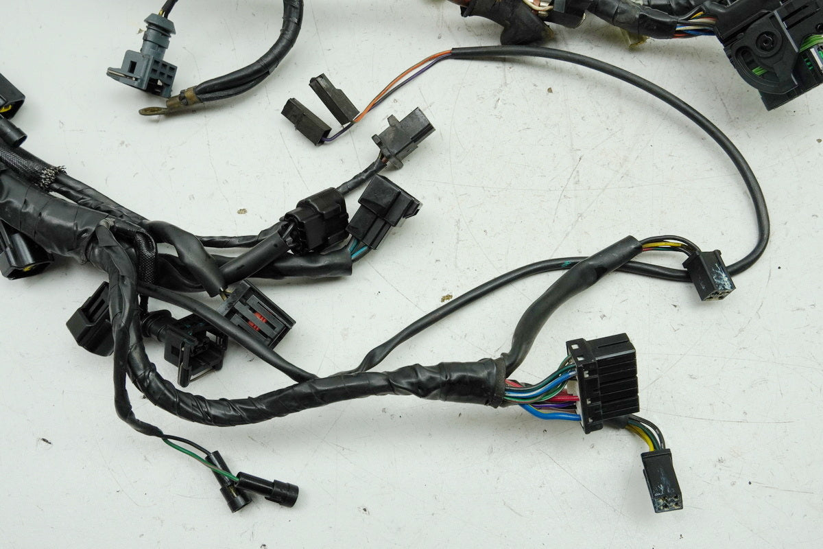 TRIUMPH SPEED TRIPLE 955 i 595 N Cableado Cableado principal Cableado T2500407