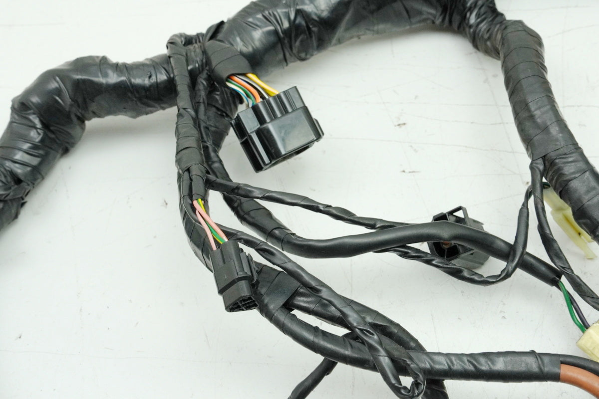 TRIUMPH SPEED TRIPLE 955 i 595 N Cableado Cableado principal Cableado T2500407