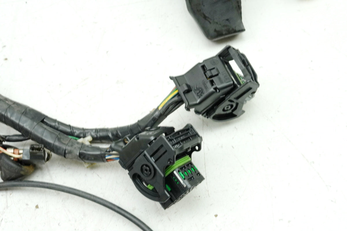 TRIUMPH SPEED TRIPLE 955 i 595 N Cableado Cableado principal Cableado T2500407