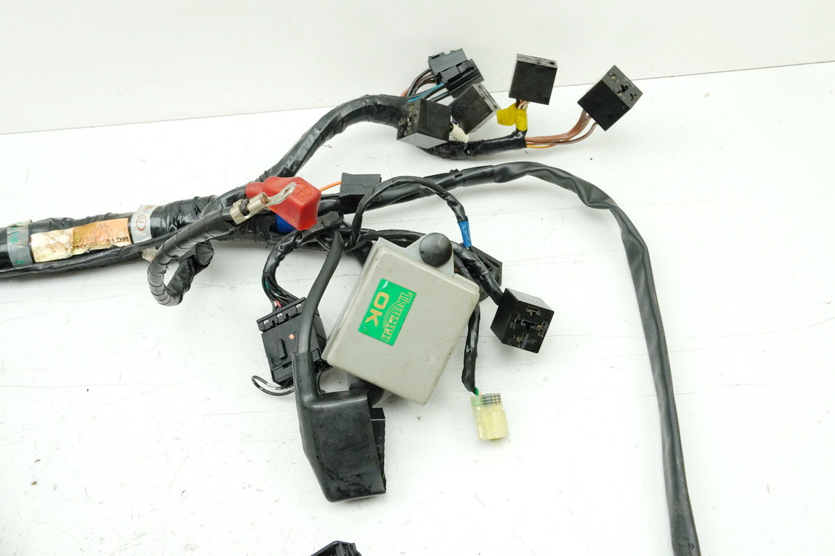 TRIUMPH SPEED TRIPLE 955 i 595 N Cableado Cableado principal Cableado T2500407