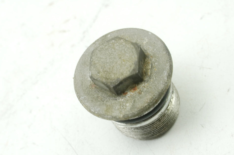 SUZUKI RG 125 NF12B GAMMA Fork Screw II Cap Plug Cover Stanchion