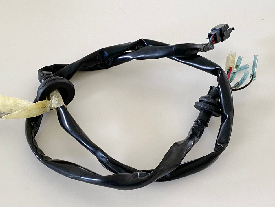Kawasaki VN 800 Drifter C E Cableado Luz Trasera Intermitentes Mazos de Cables Traseros