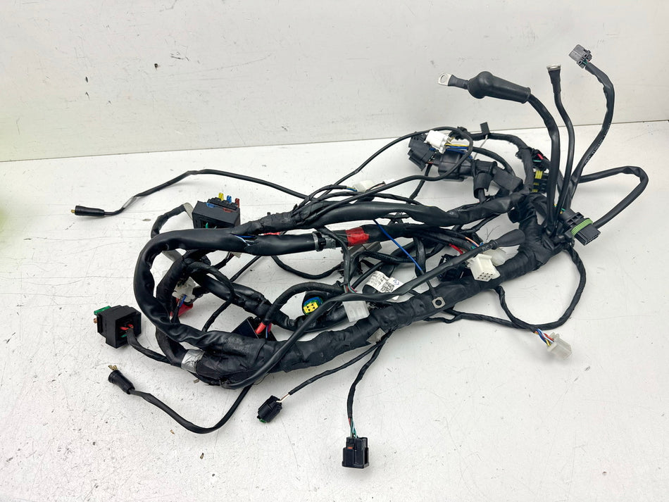 APRILIA RS 125 XA GP Replica Wiring Harness Main Wiring Harness Cable Set (for Engine)