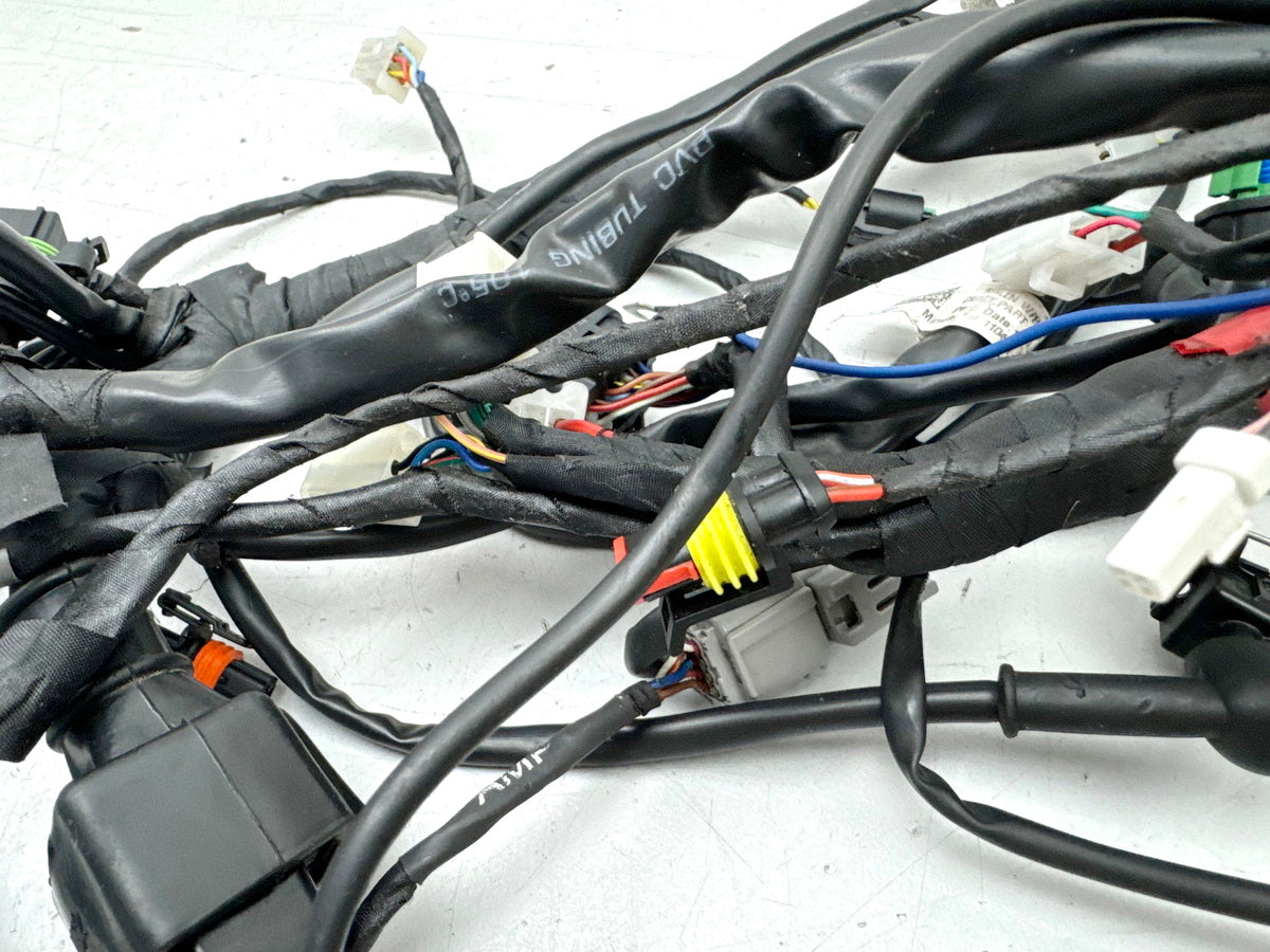 APRILIA RS 125 XA GP Replica Kabelbaum Hauptkabelbaum Kabelstrang (für Motor)