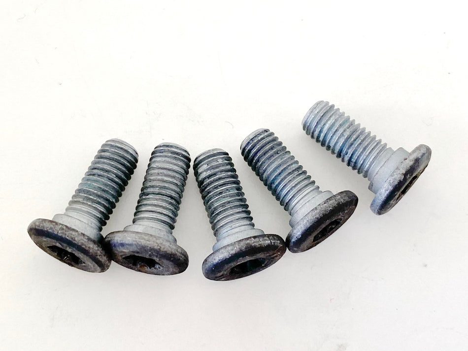 BMW R 1150 R R21 Rear Brake Disc Screws