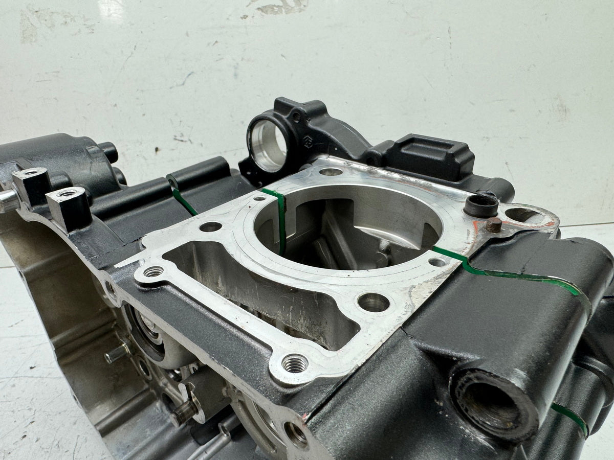 APRILIA RS 125 XA GP Replica Motorgehäuse Motorblock Kurbelgehäuse für Motor