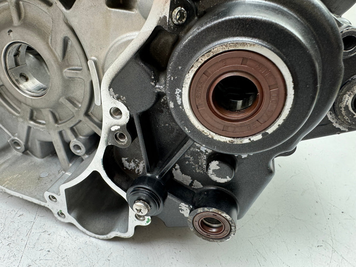 APRILIA RS 125 XA GP Replica Motorgehäuse Motorblock Kurbelgehäuse für Motor