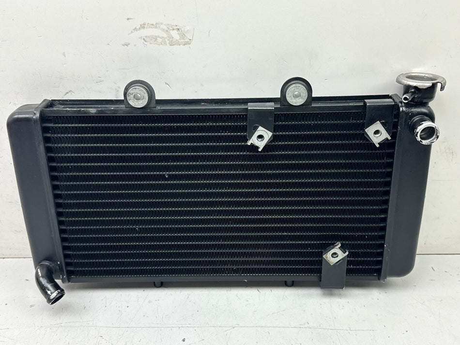 BMW F 650 169 radiador original sin accidentes