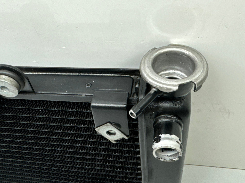 BMW F 650 169 radiador original sin accidentes