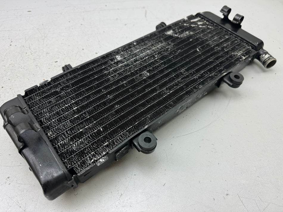 HONDA CBR 600 PC19 PC23 Kühler original Wasserkühler Water Cooler für Motor