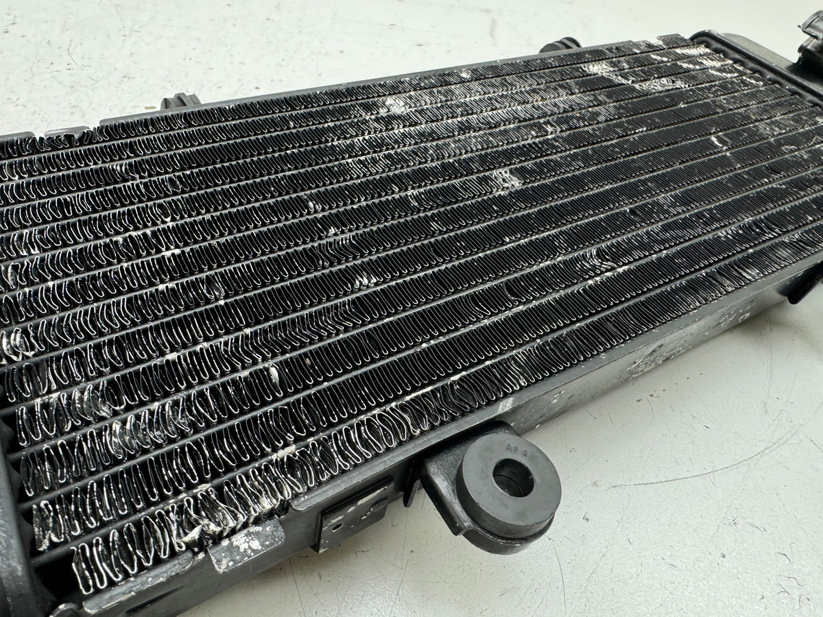 HONDA CBR 600 PC19 PC23 Kühler original Wasserkühler Water Cooler für Motor