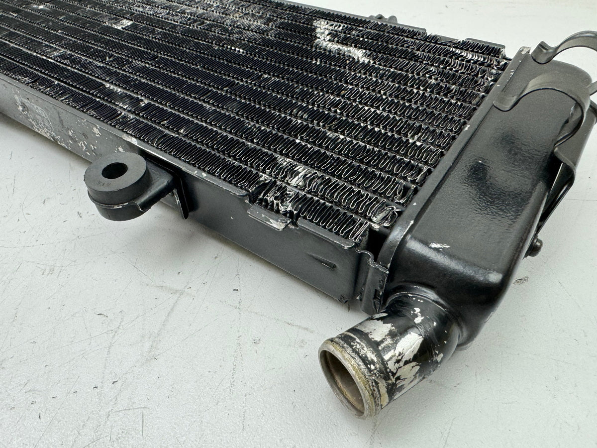HONDA CBR 600 PC19 PC23 Kühler original Wasserkühler Water Cooler für Motor