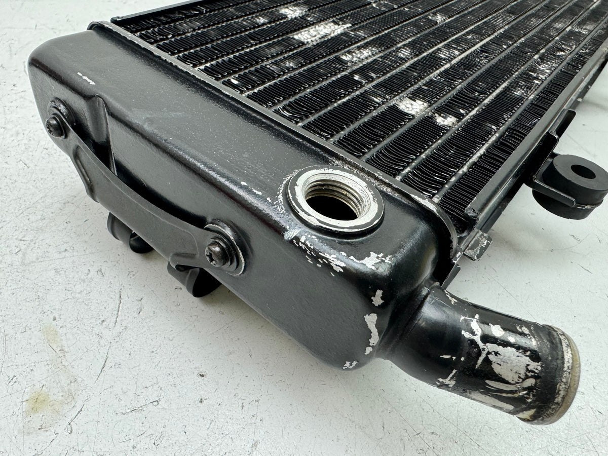 HONDA CBR 600 PC19 PC23 Kühler original Wasserkühler Water Cooler für Motor