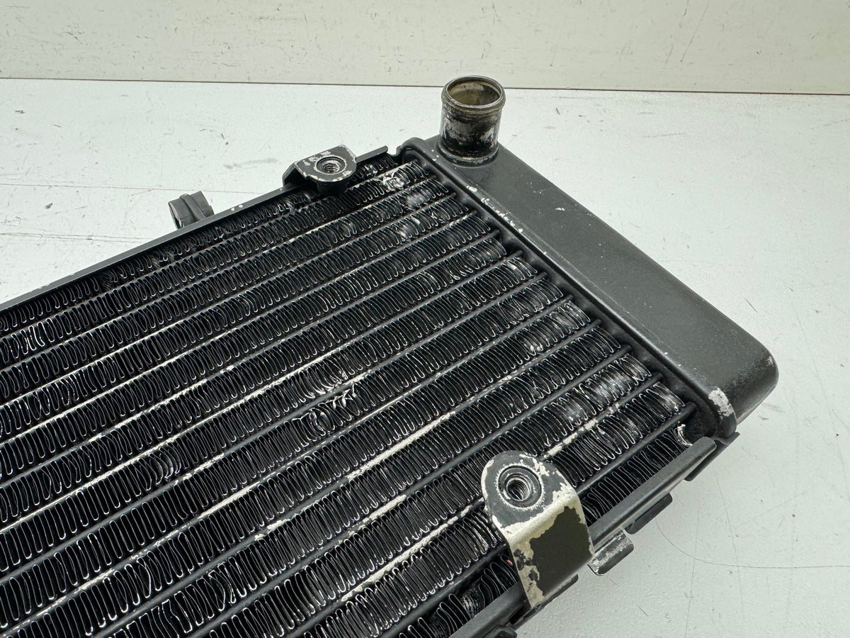 HONDA CBR 600 PC19 PC23 Kühler original Wasserkühler Water Cooler für Motor