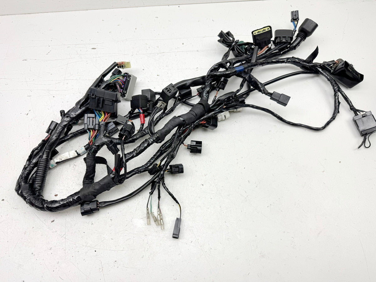Triumph Street Triple 675 D67LD Kabelbaum Hauptkabelbaum Kabelstrang 07-12