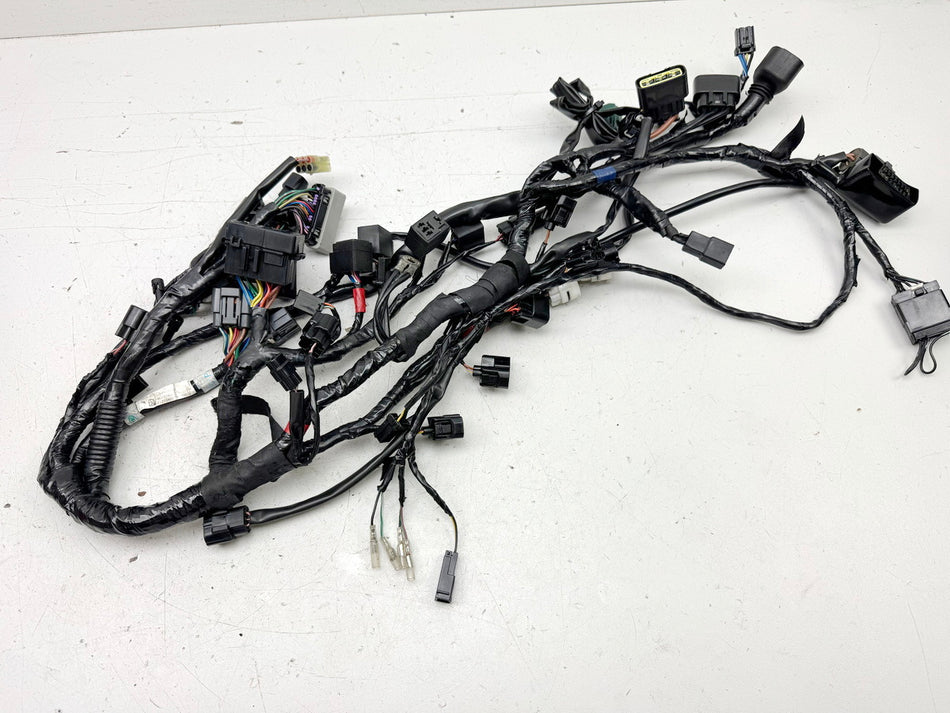 Triumph Street Triple 675 D67LD Kabelbaum Hauptkabelbaum Kabelstrang 07-12