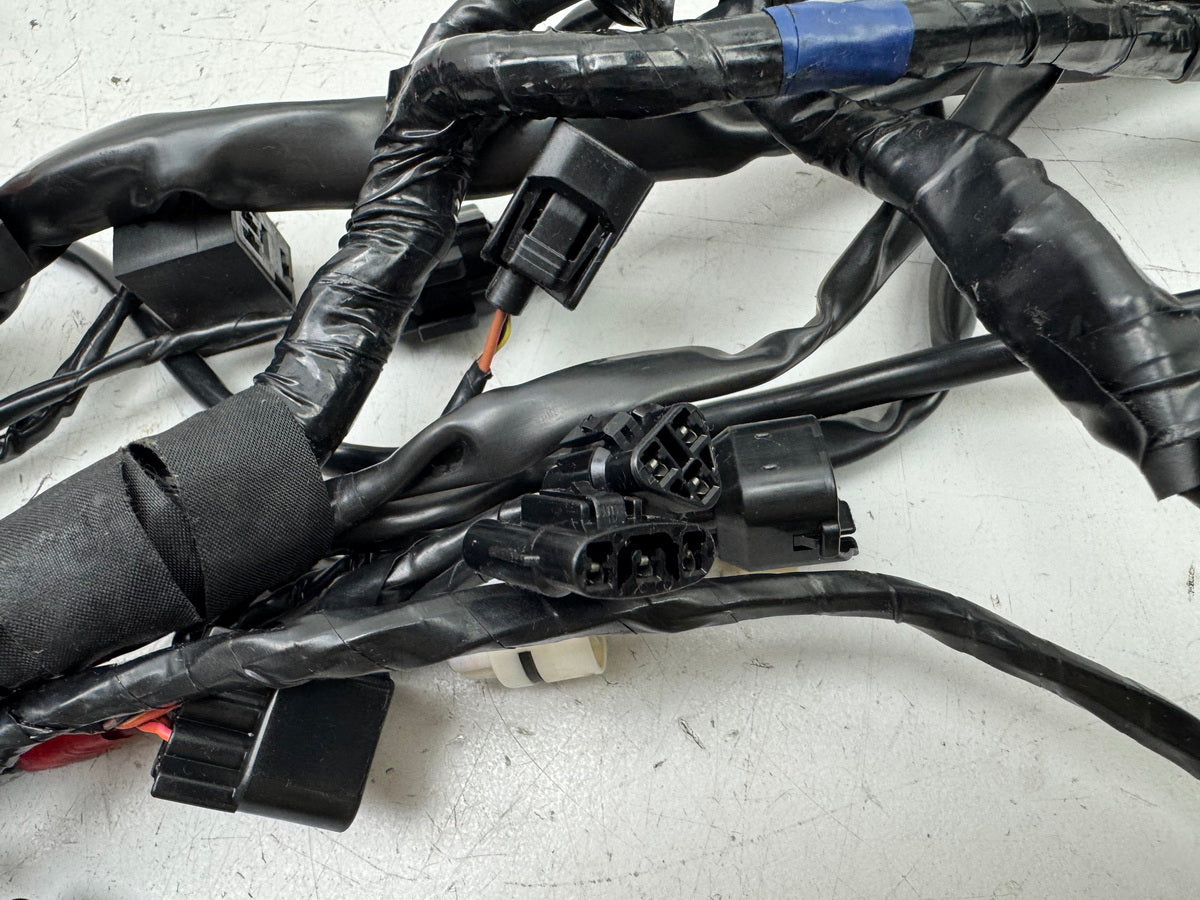 Triumph Street Triple 675 D67LD Kabelbaum Hauptkabelbaum Kabelstrang 07-12