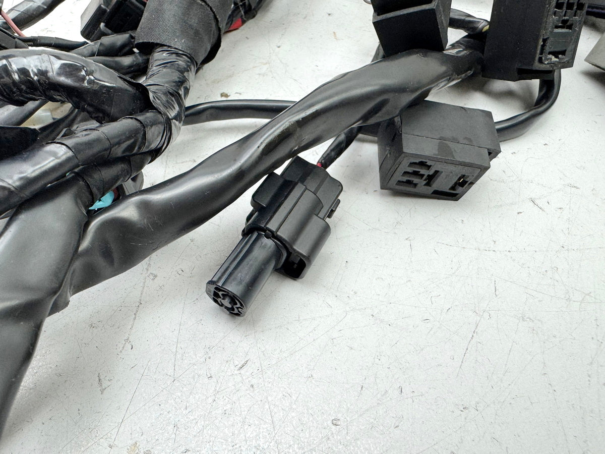 Triumph Street Triple 675 D67LD Kabelbaum Hauptkabelbaum Kabelstrang 07-12
