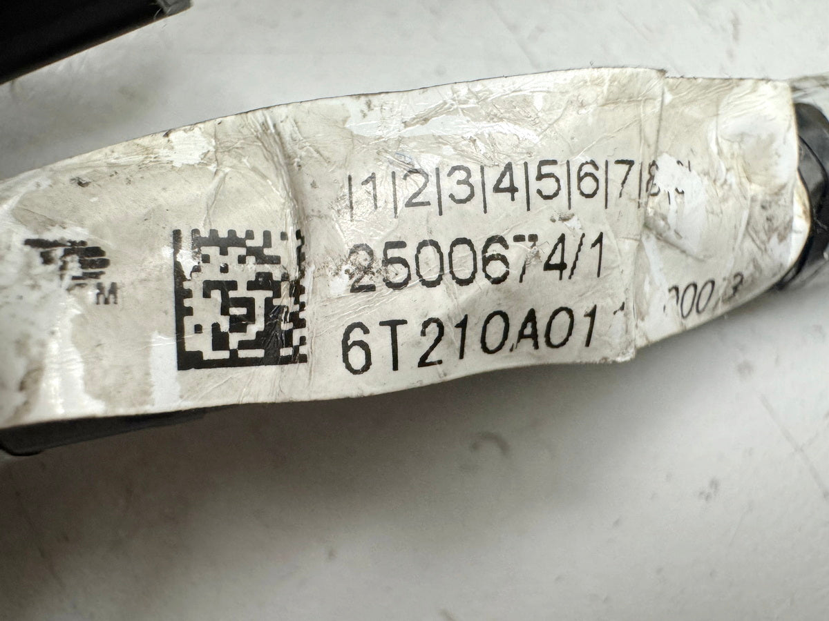 Triumph Street Triple 675 D67LD Kabelbaum Hauptkabelbaum Kabelstrang 07-12