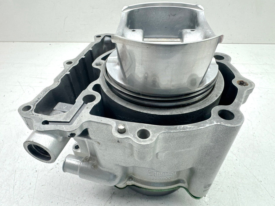 BMW F 650 169 Cilindros y pistones (para motor)