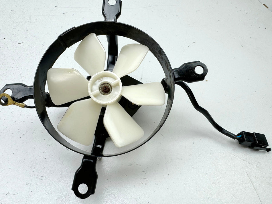 KAWASAKI EL 250 B Eliminator Lüfter Kühler Lüfterrad Motor Ventilator