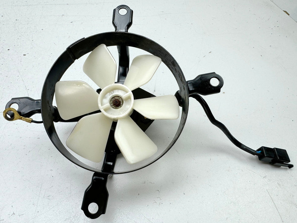KAWASAKI EL 250 B Eliminator Lüfter Kühler Lüfterrad Motor Ventilator