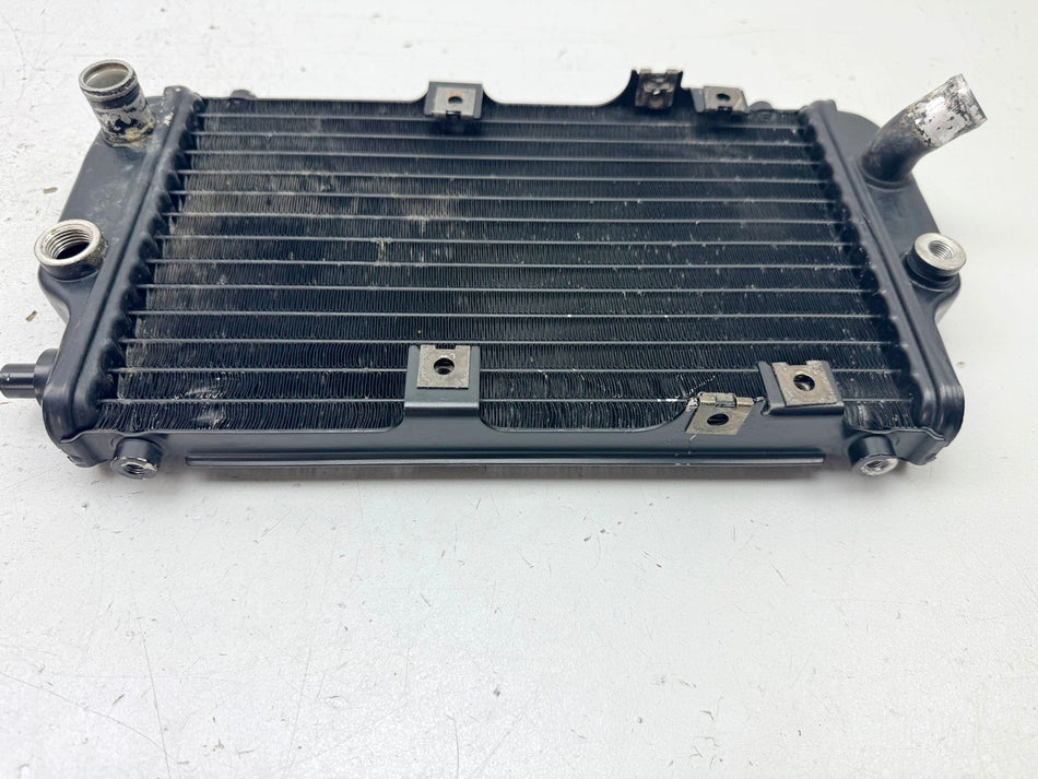KAWASAKI EL 250 B Eliminator Kühler Wasserkühler original Water Cooler