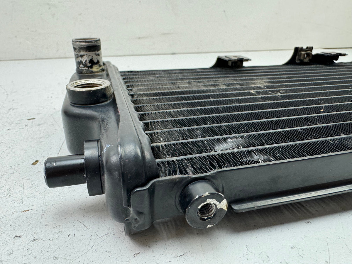 KAWASAKI EL 250 B Eliminator Kühler Wasserkühler original Water Cooler