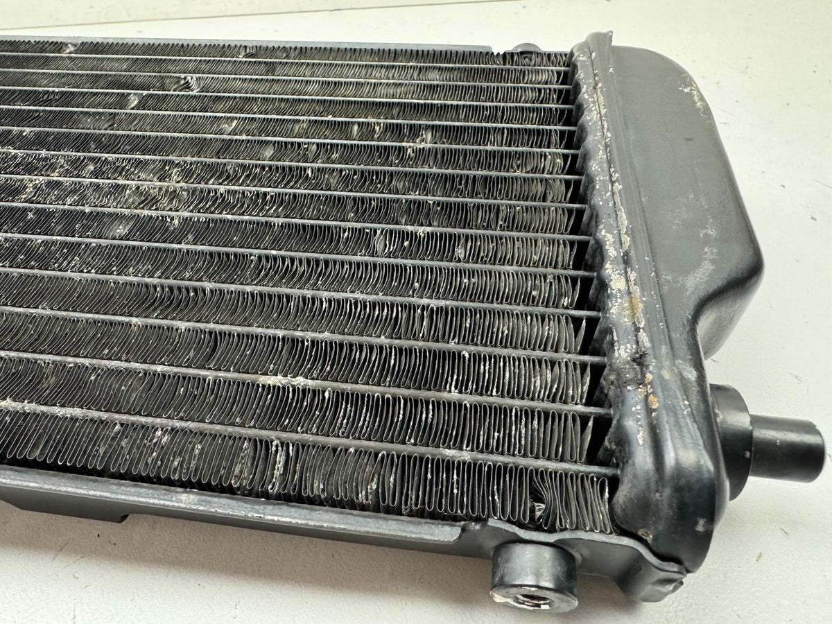 KAWASAKI EL 250 B Eliminator Kühler Wasserkühler original Water Cooler