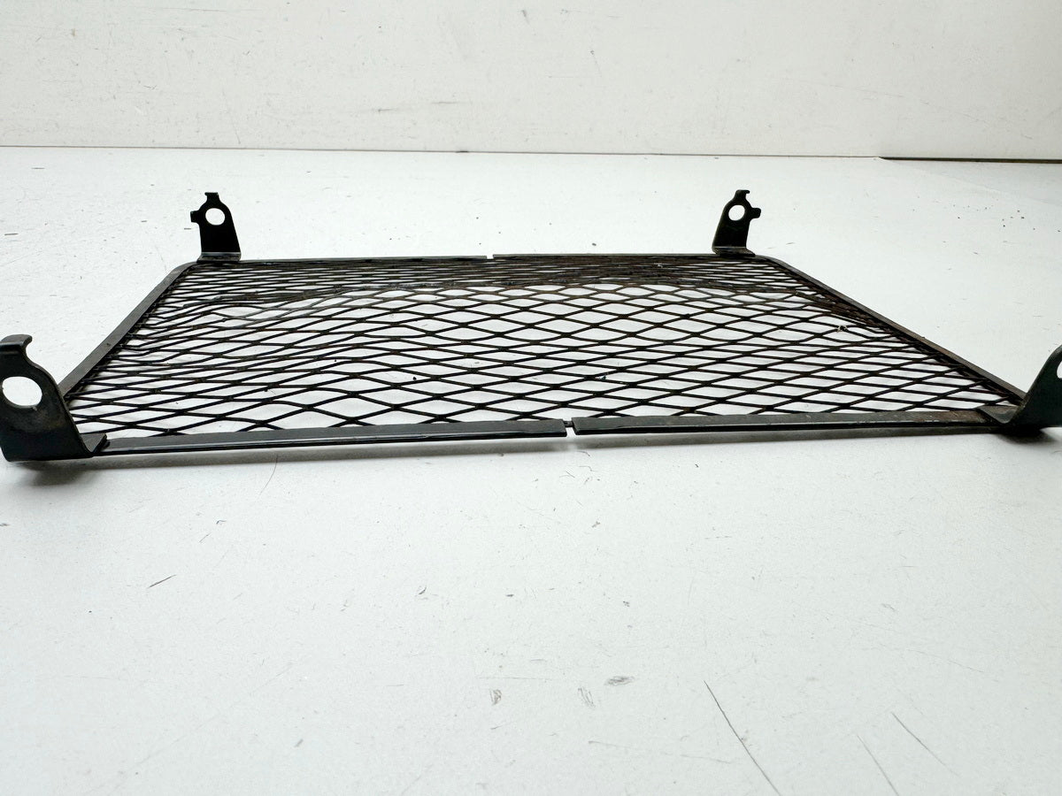 KAWASAKI EL 250 B Eliminator Radiator Cover Grille Trim Fairing